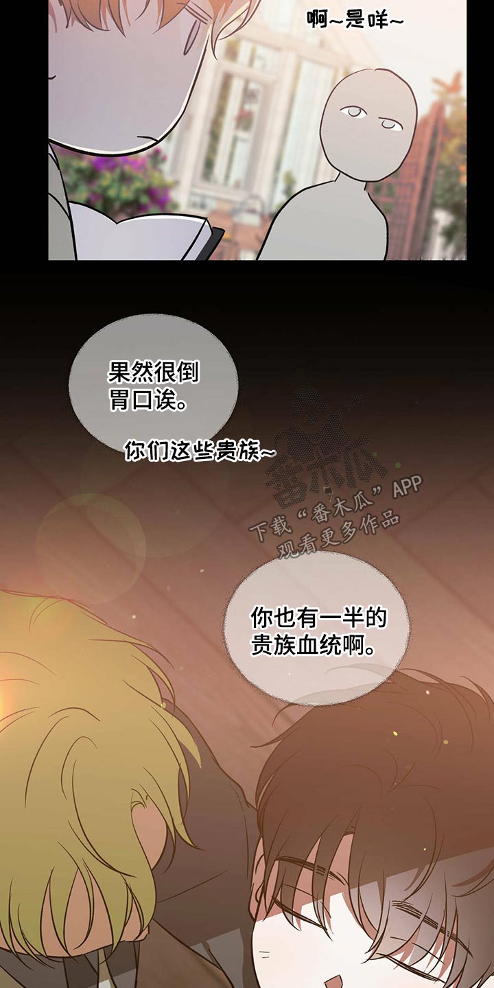 第39章：哥哥3