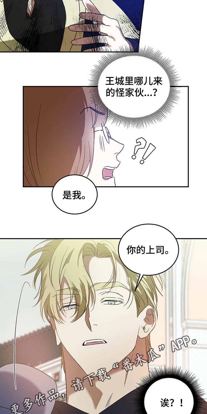 第43章：怪家伙17