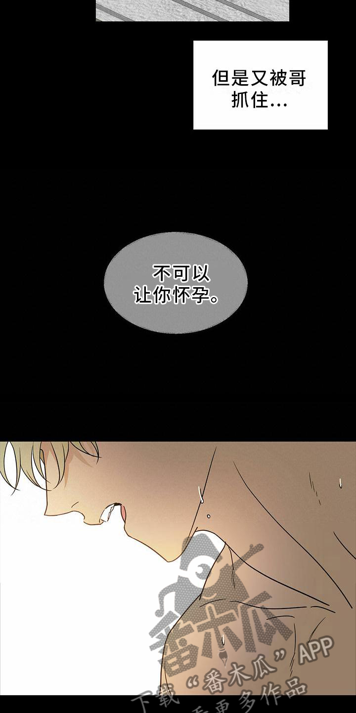 第52章：【第二季】不可以17