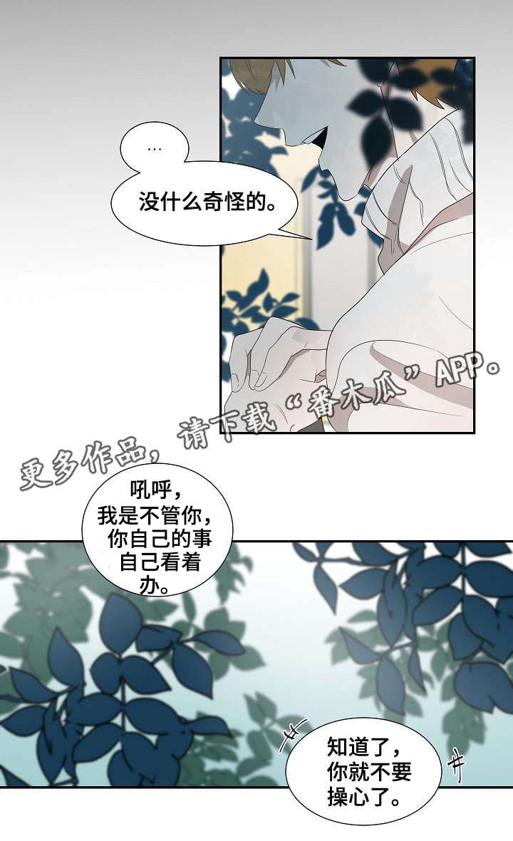 第32章：新人5