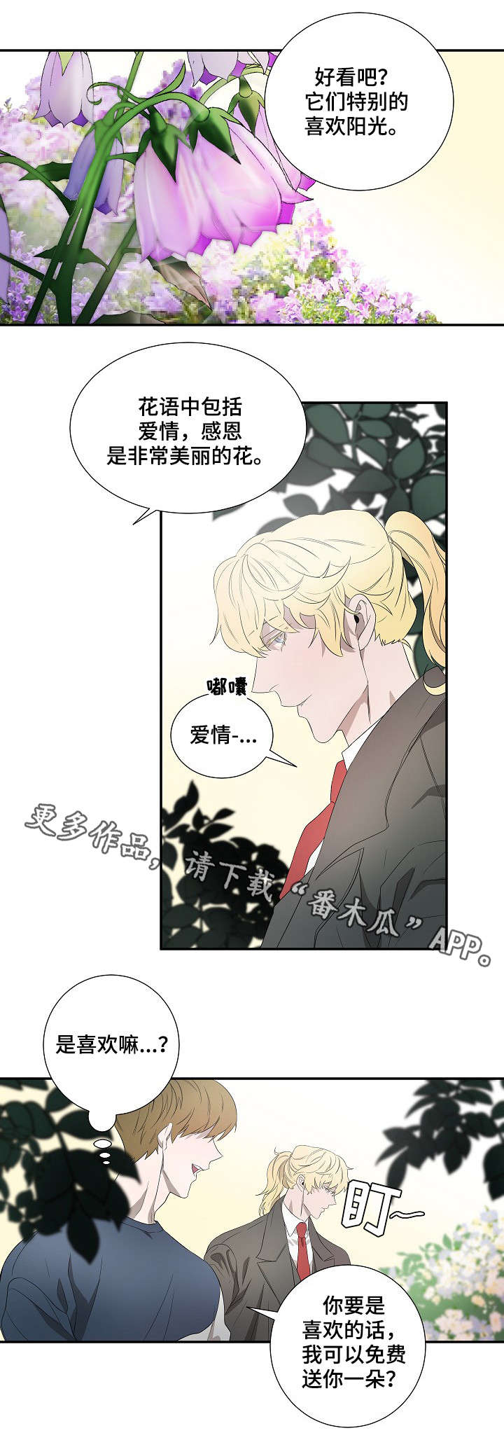 第18章：太阳花5