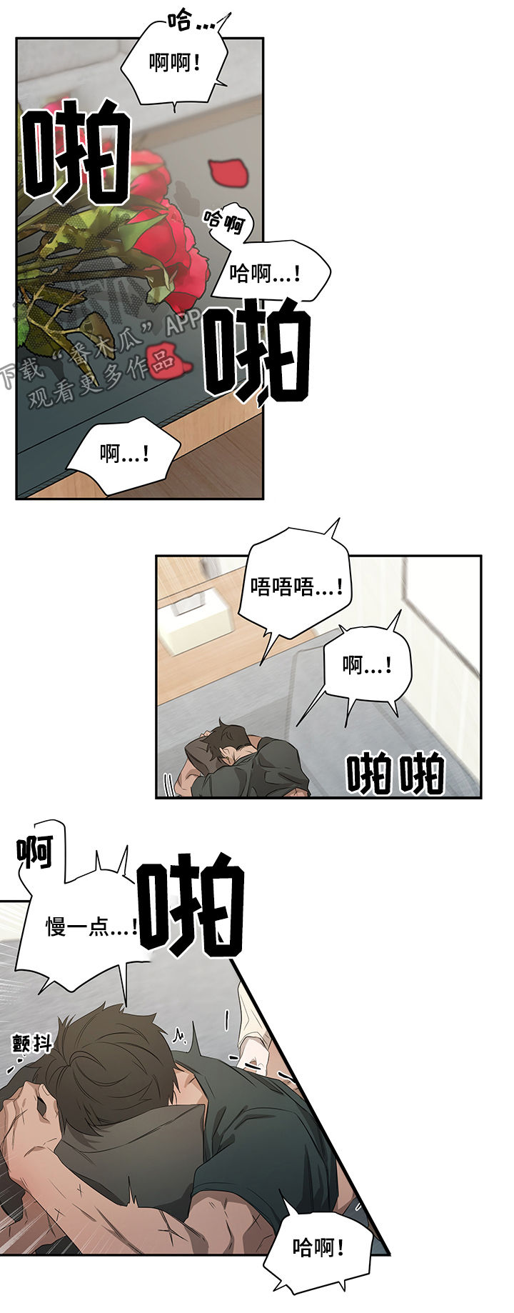 第61章：迷魂药5