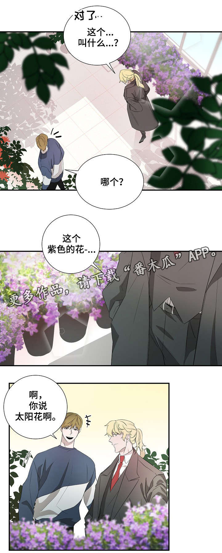 第18章：太阳花4