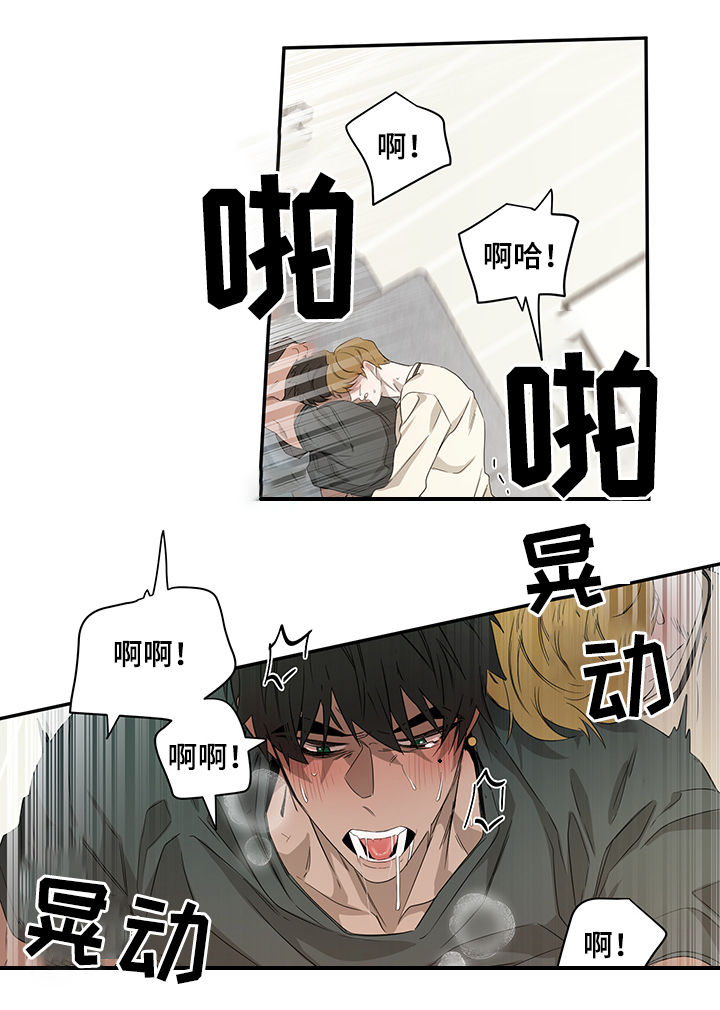 第61章：迷魂药9