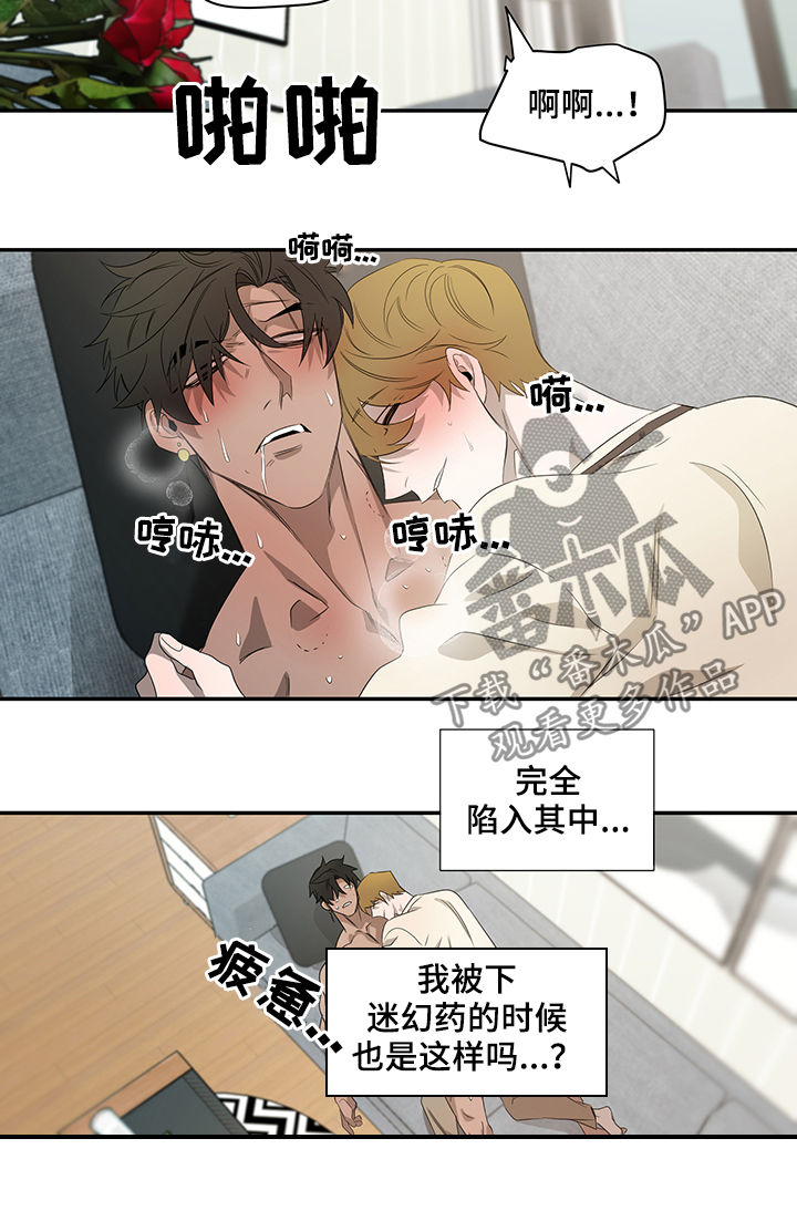 第61章：迷魂药13