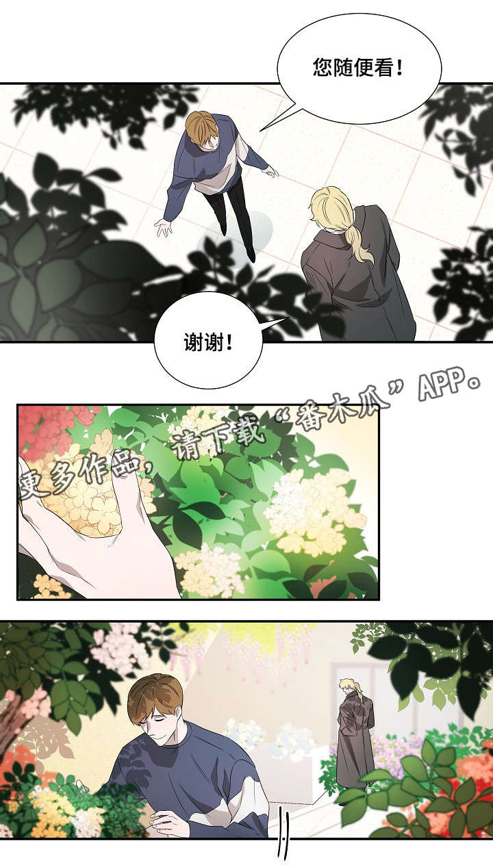 第18章：太阳花1