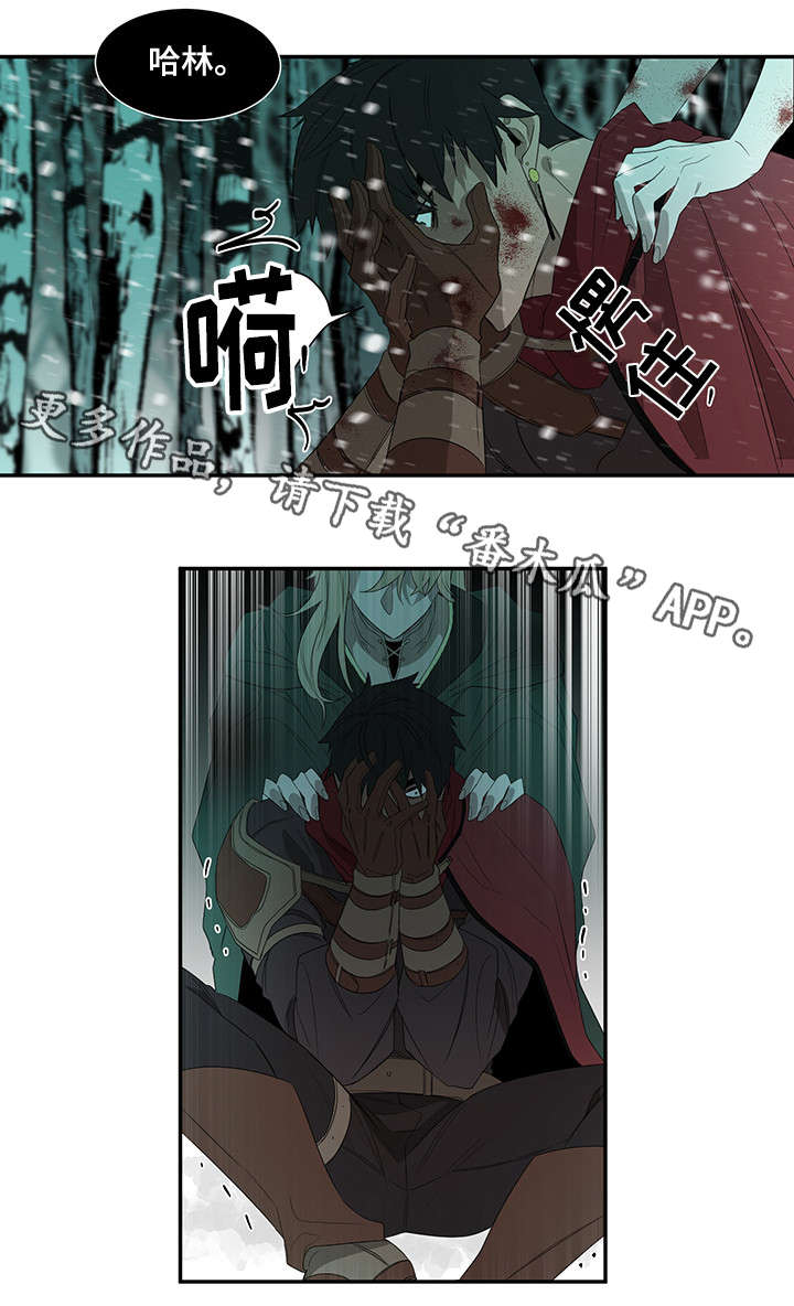 第29章：你杀死的11