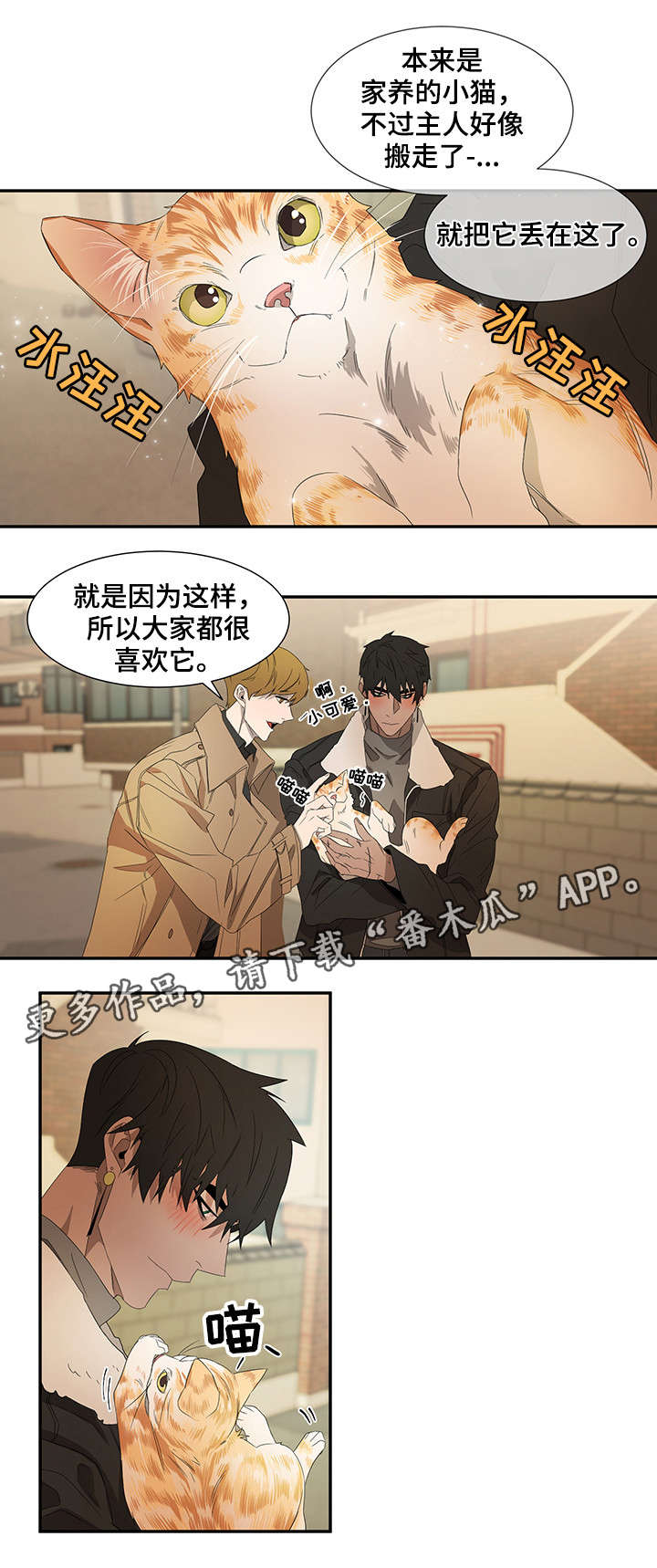 第21章：好奇心4