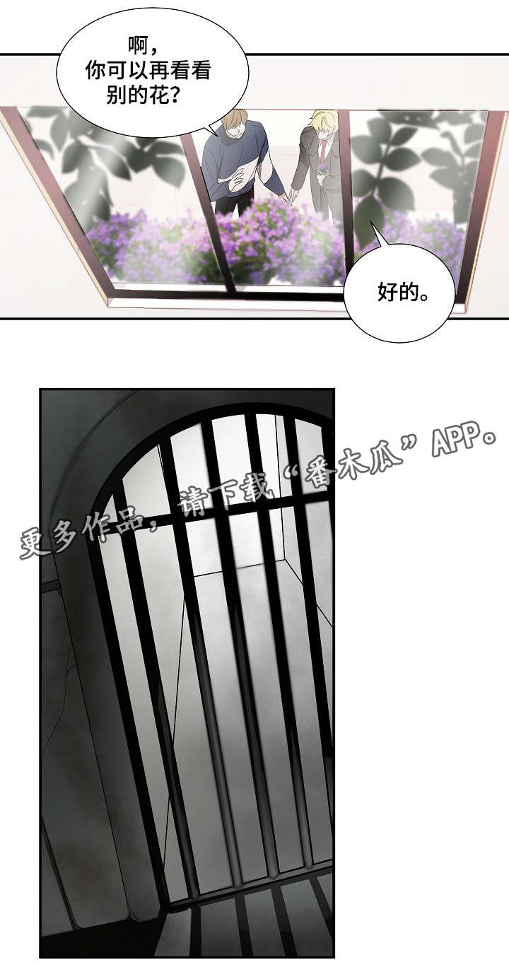 第18章：太阳花8