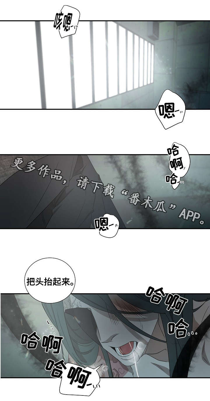 第32章：新人6