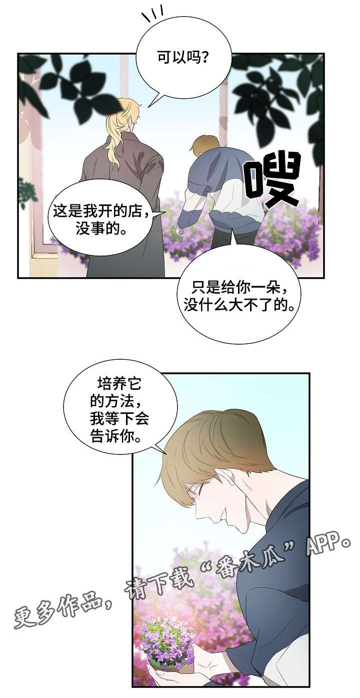 第18章：太阳花6