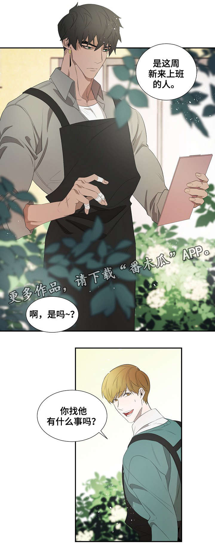 第33章：更好的想法14