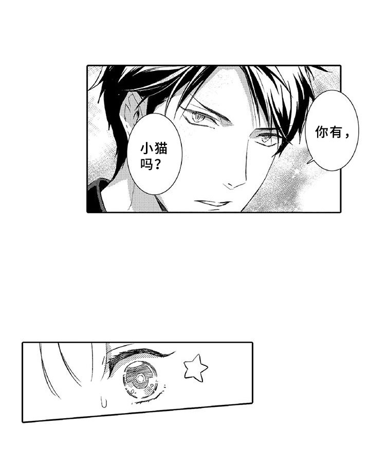 第6章：小猫18