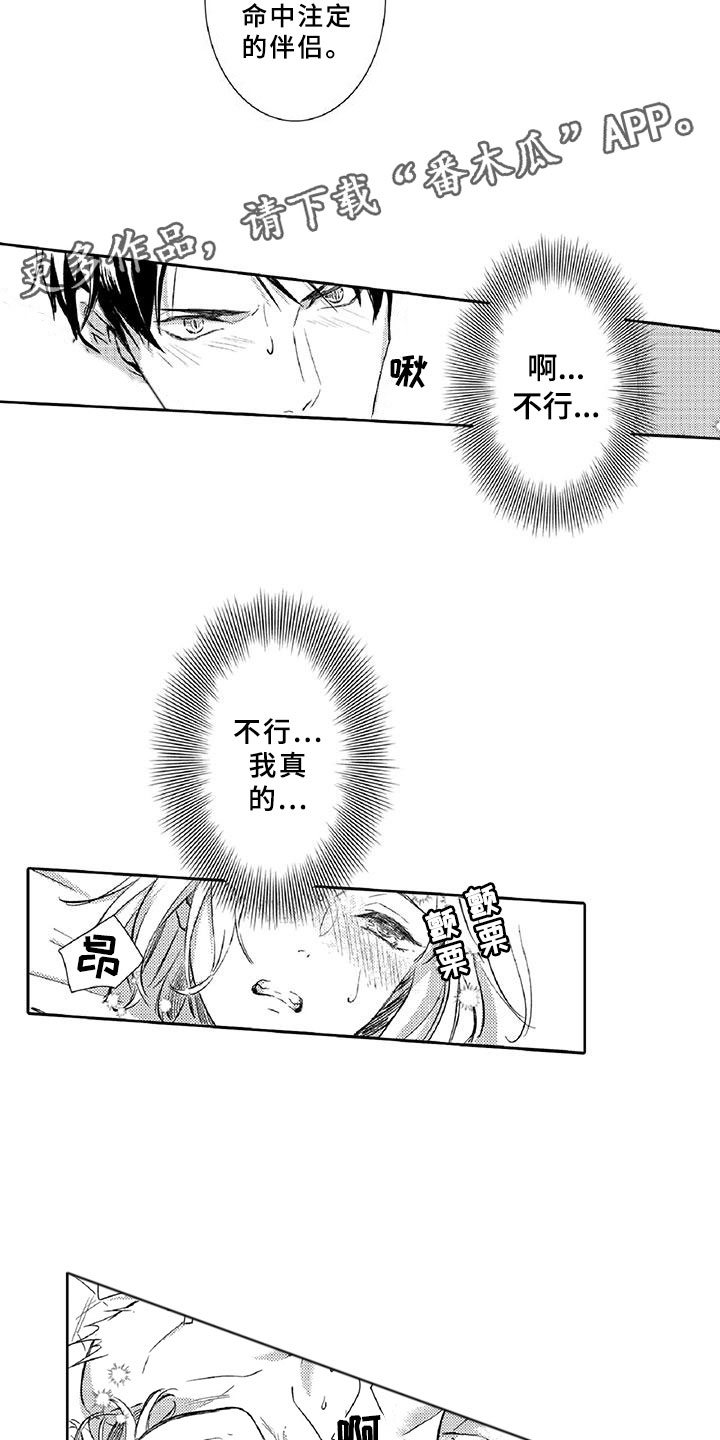 第14章：命定12