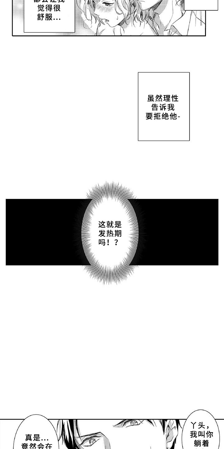 第3章：新手11
