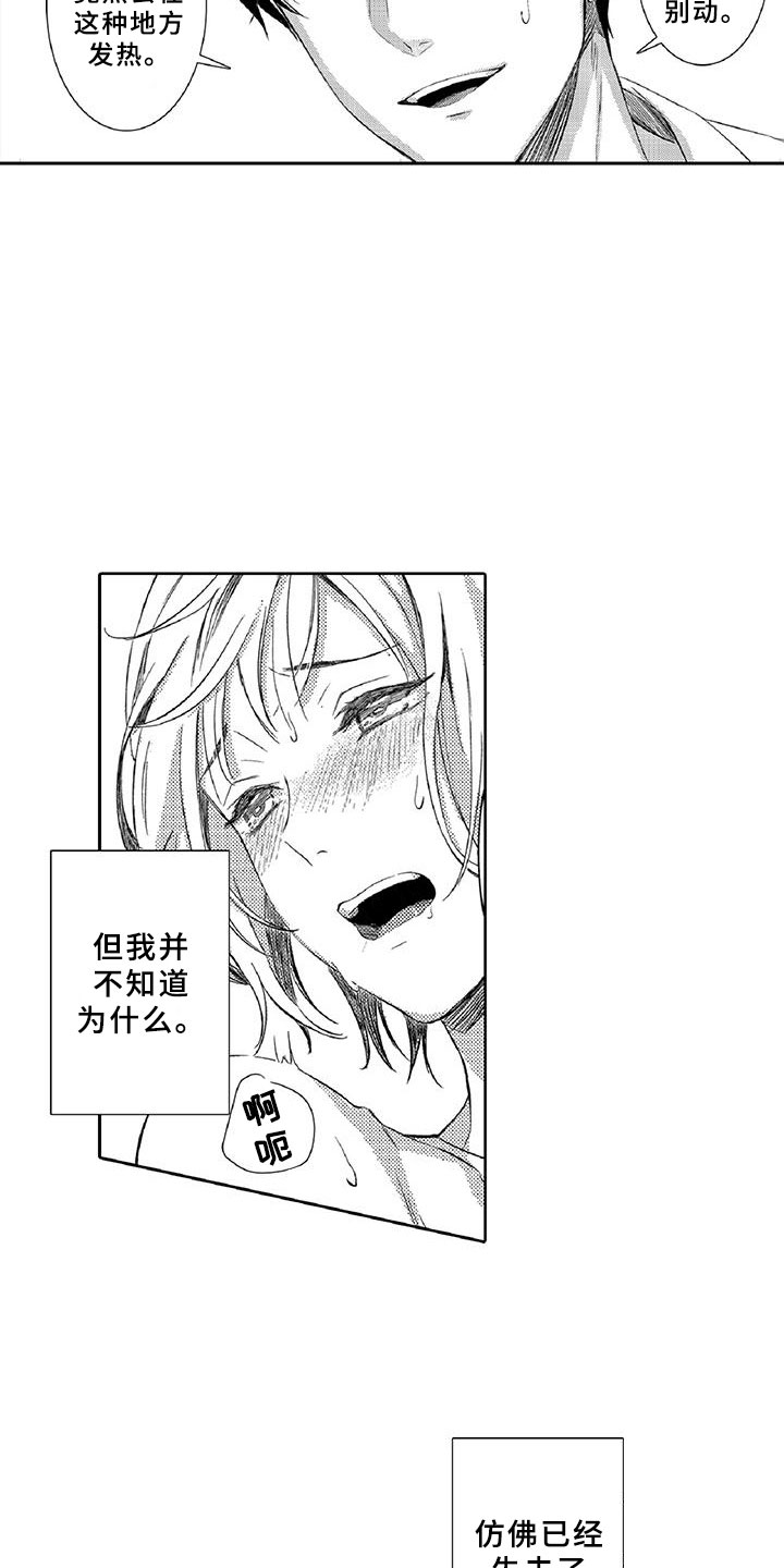 第3章：新手12