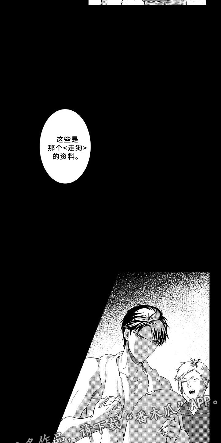 第17章：走狗3