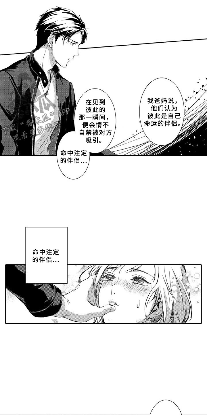 第8章：吸引16