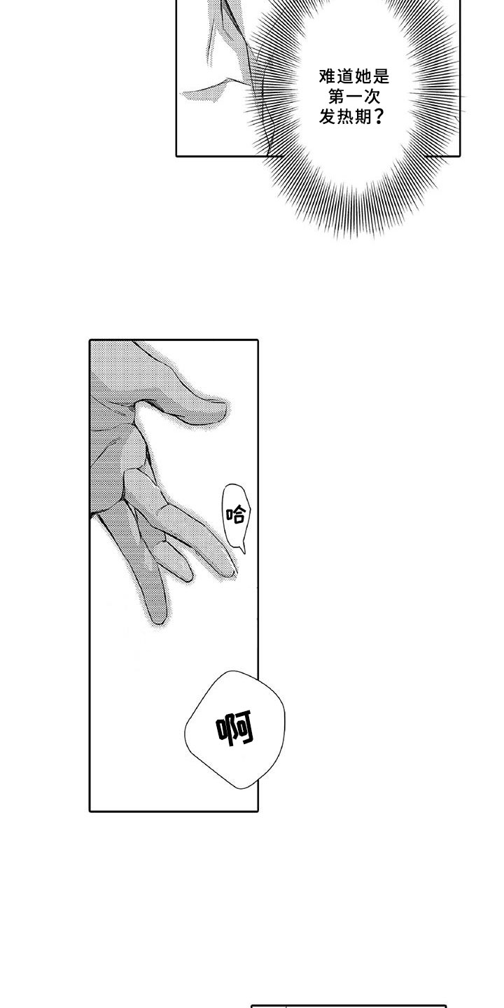 第3章：新手15