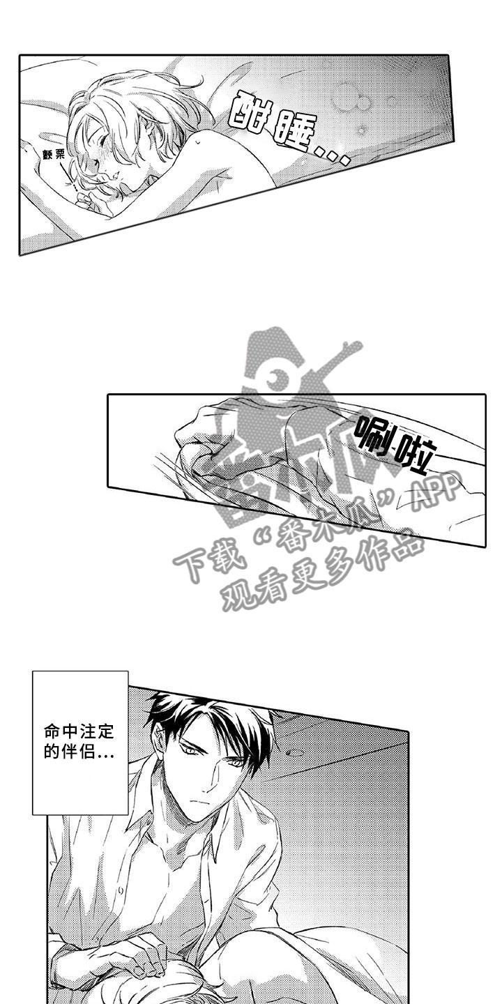 第15章：可疑11