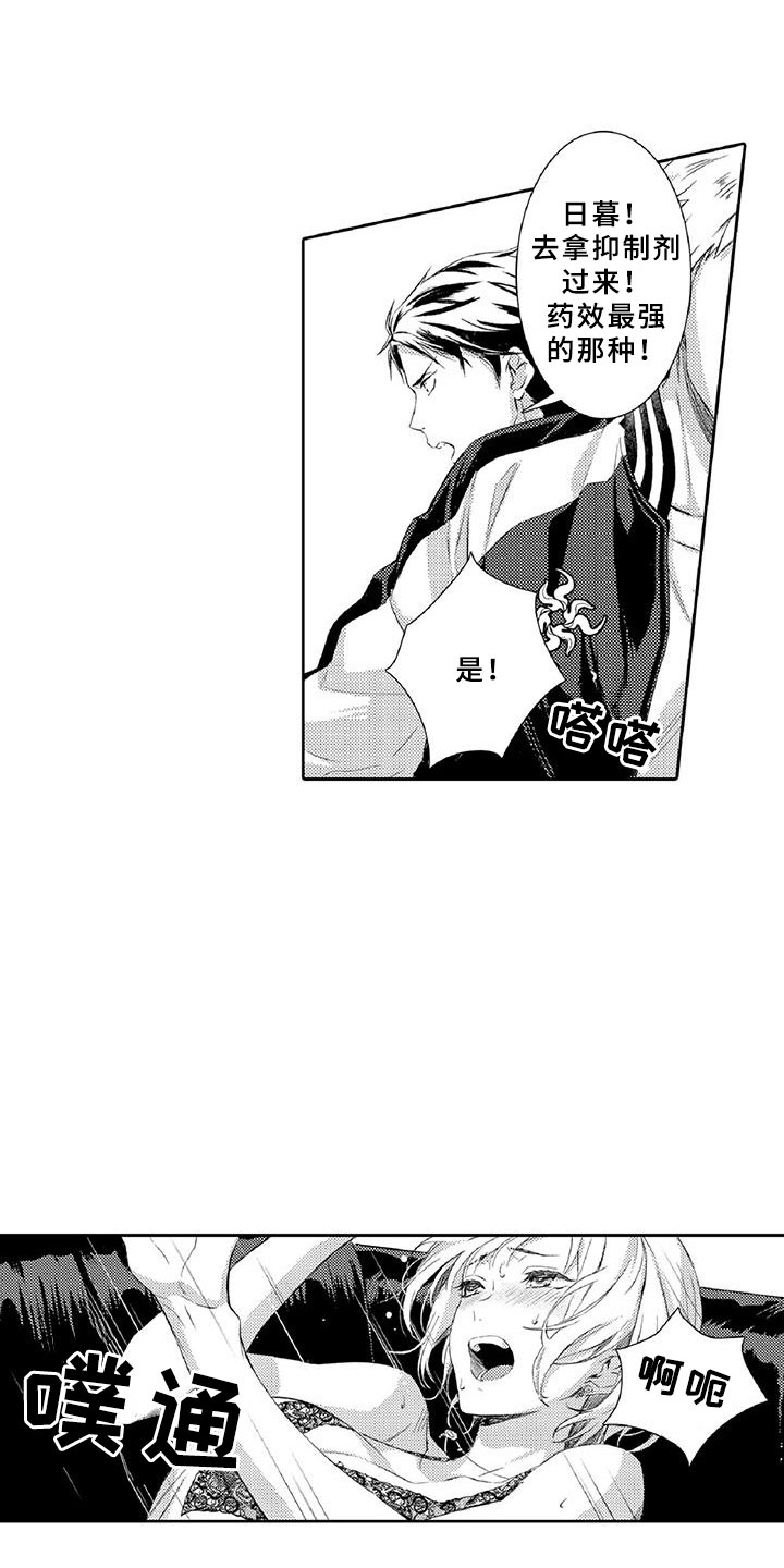 第2章：老大17