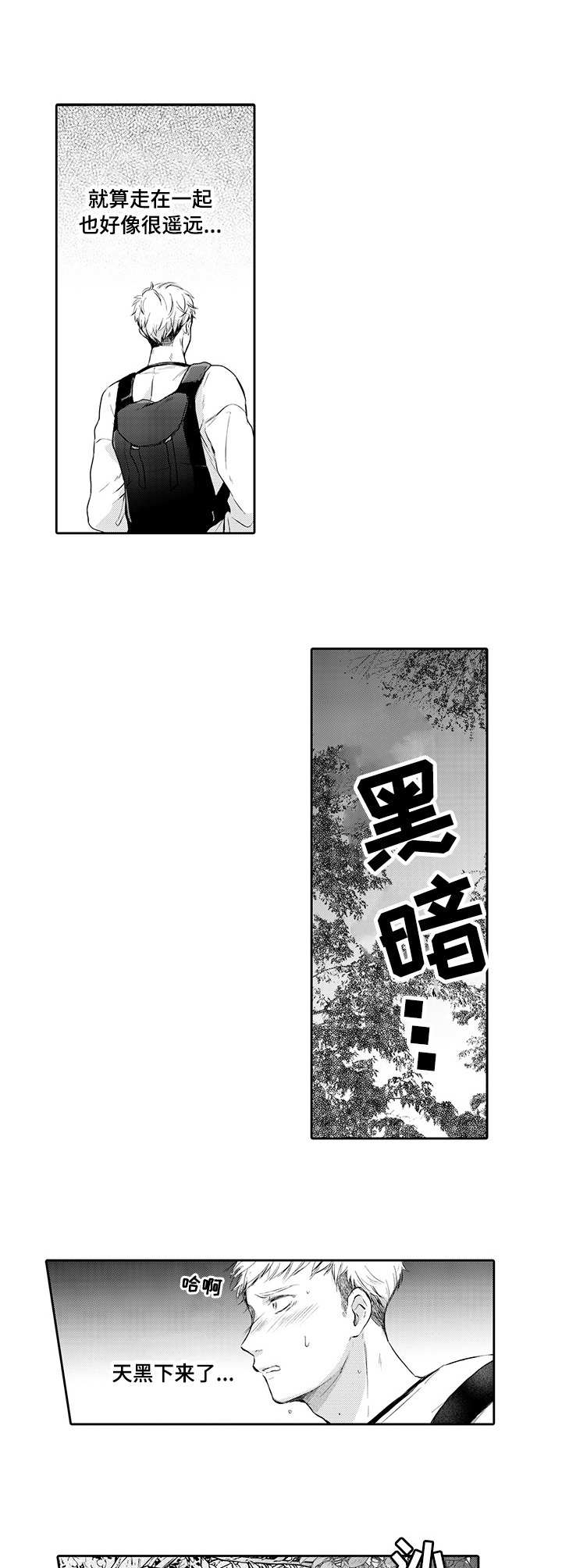第12章：树海6