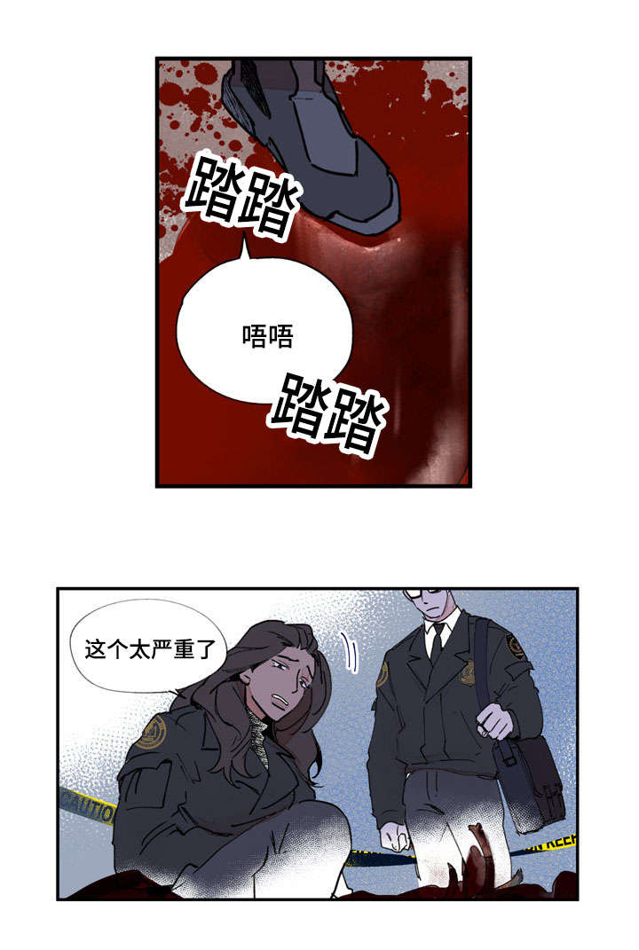 第41章：白色粉末11