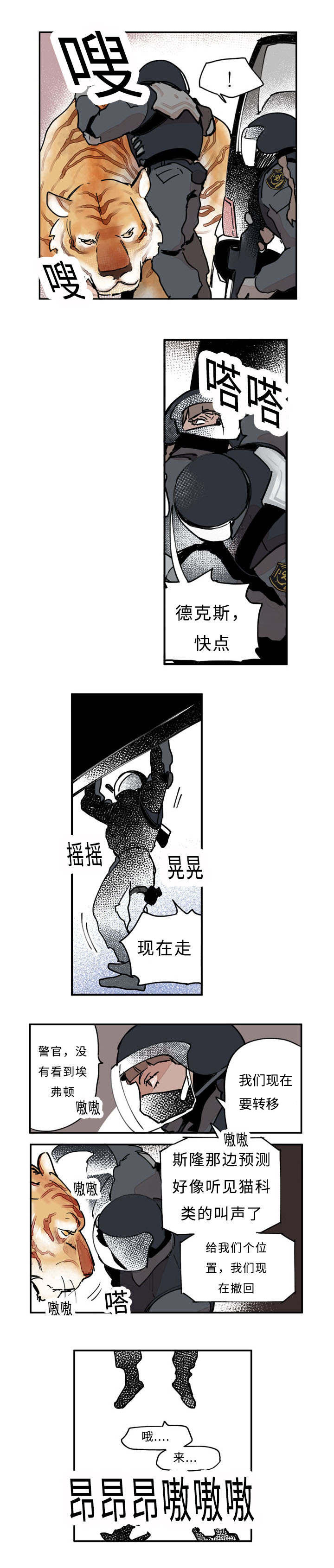 第24章：来势11
