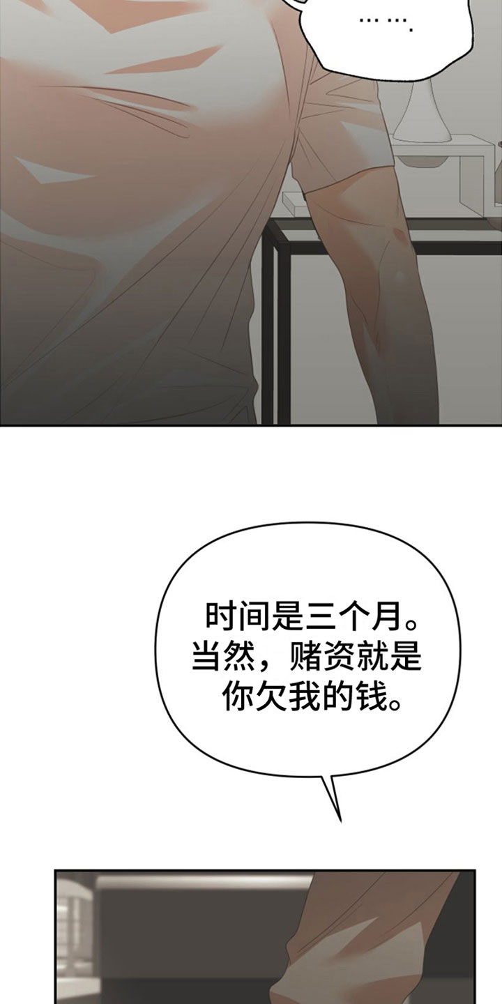 第11章：一个机会29