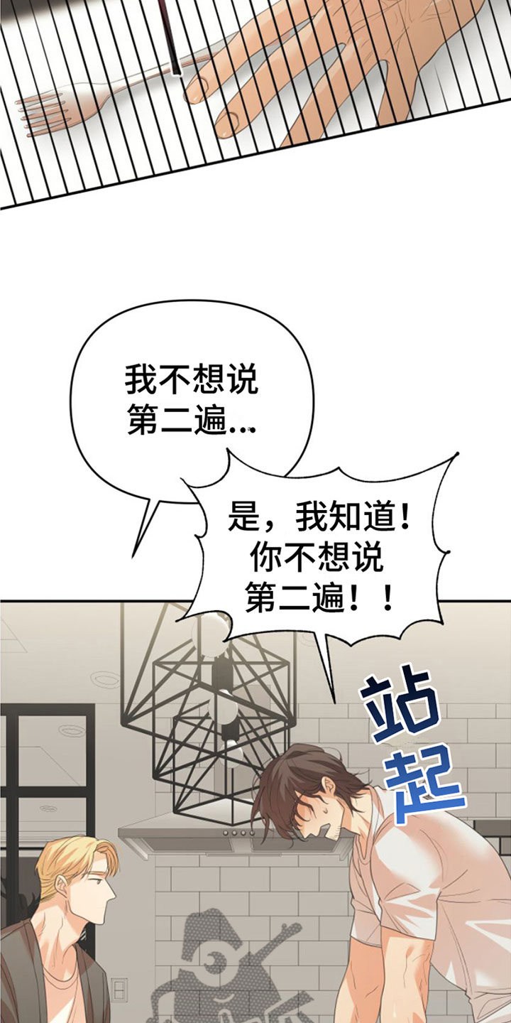 第11章：一个机会4