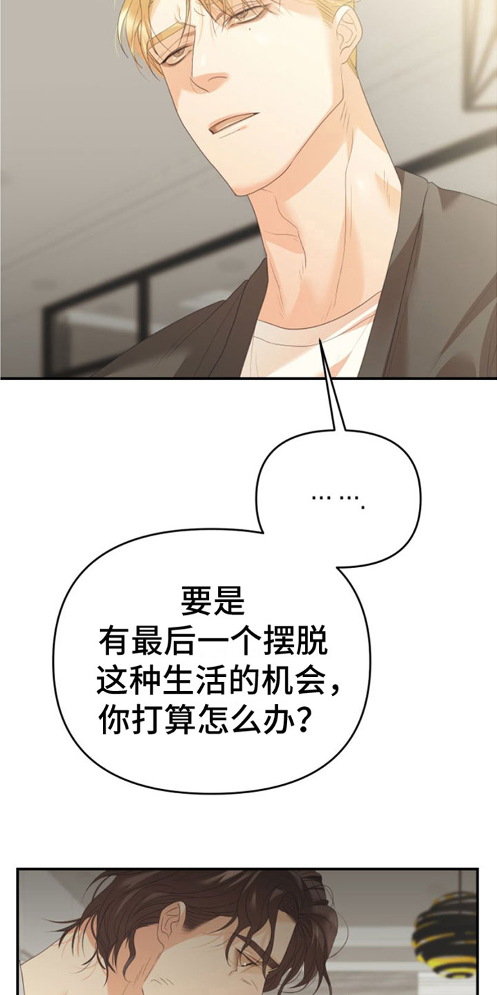 第11章：一个机会15