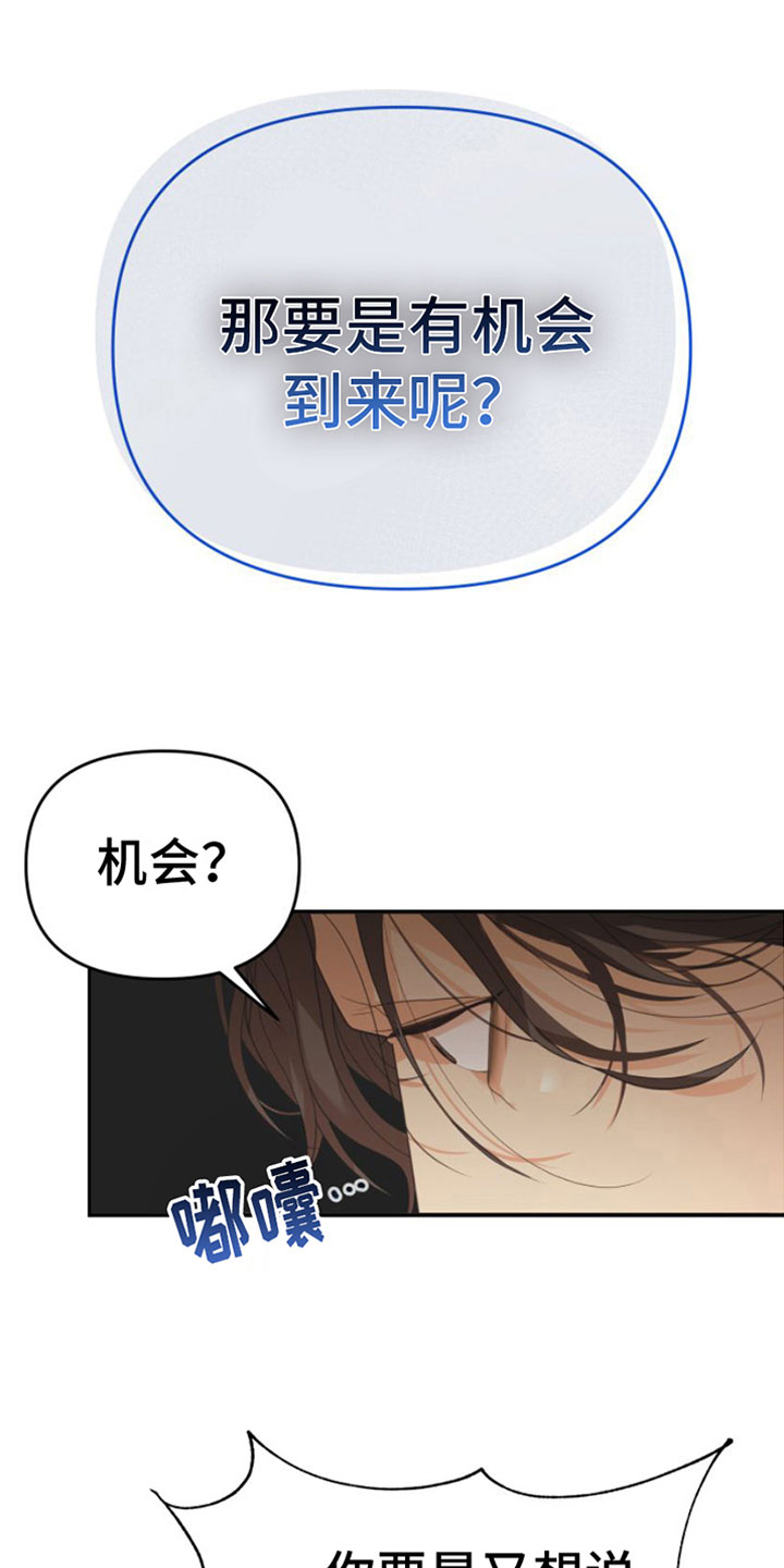 第11章：一个机会21