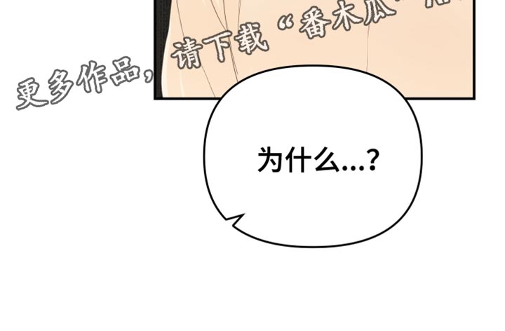 第40章：完美的17