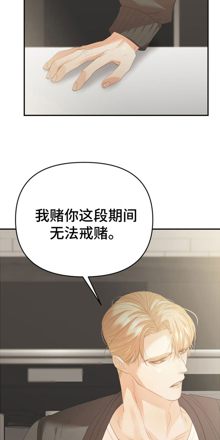 第11章：一个机会30