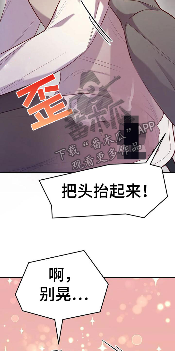 第16章：刺激20
