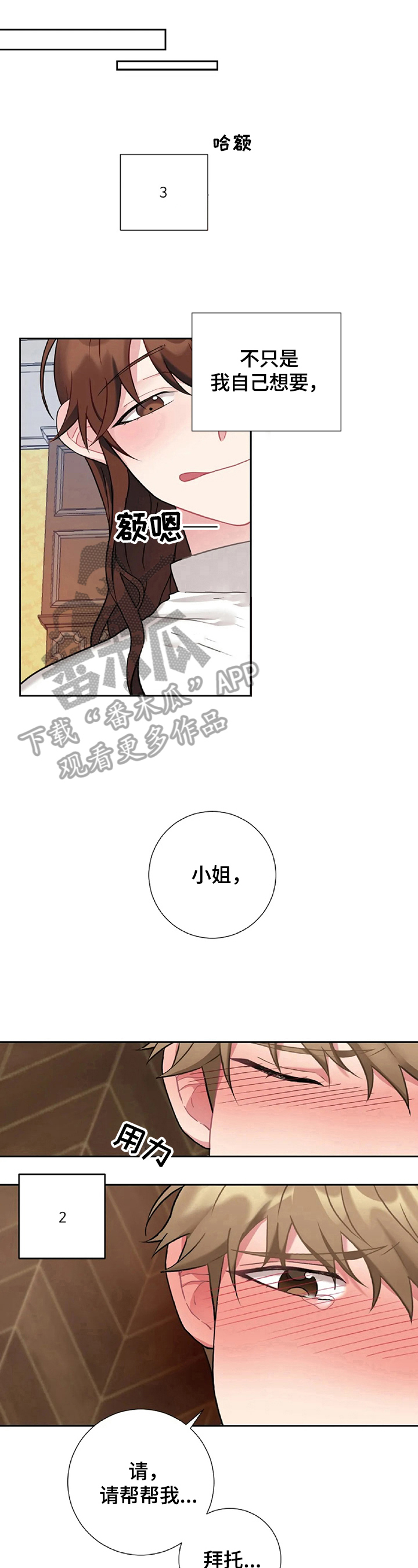 第28章：回报5