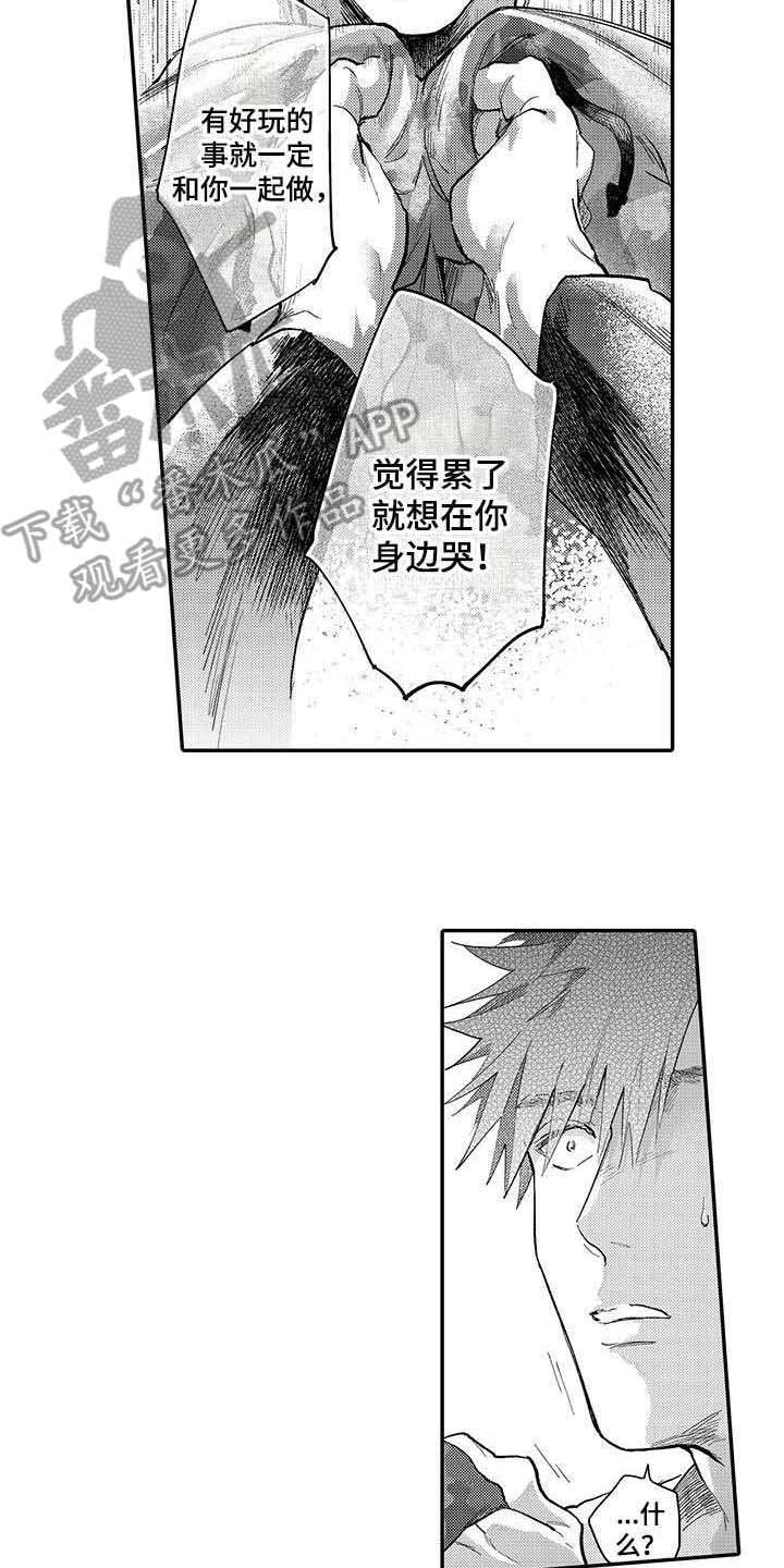 第17章：心意12