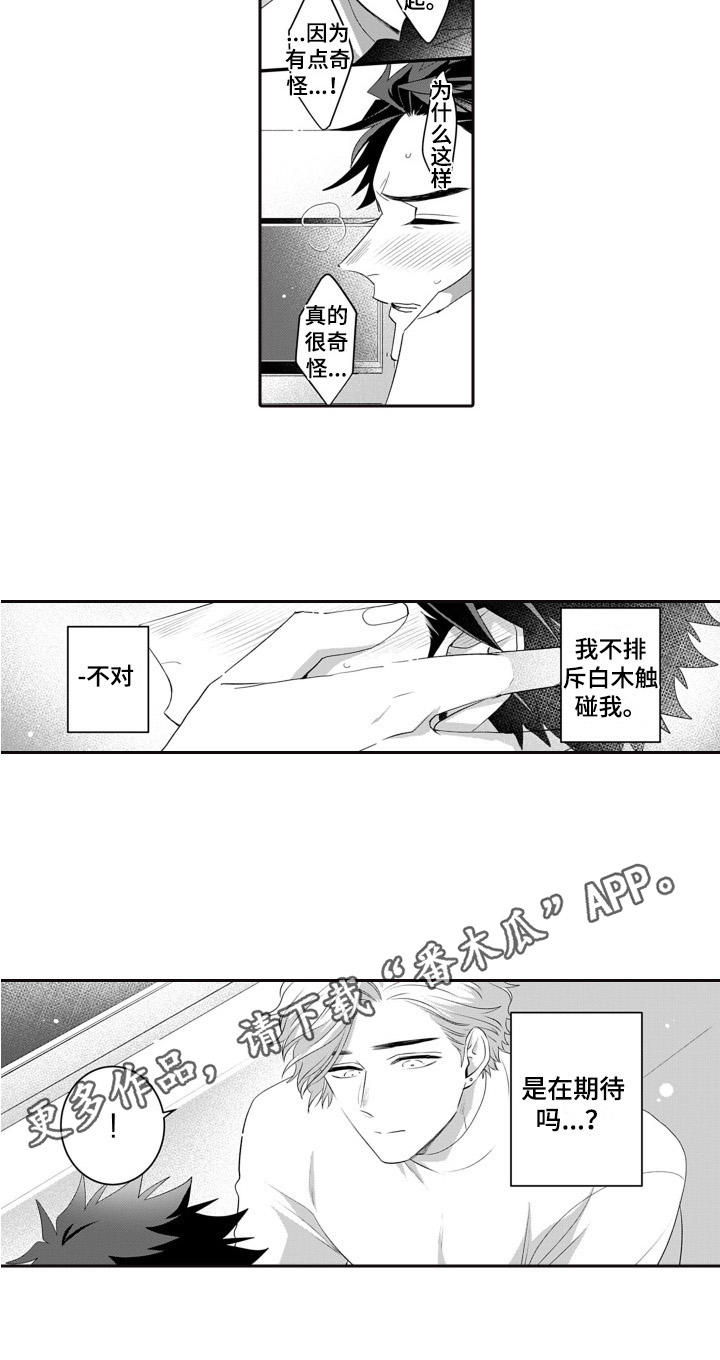 第9章：庆祝生日12