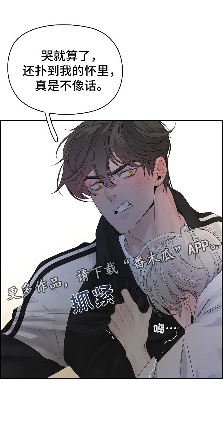 第17章：苦恼0