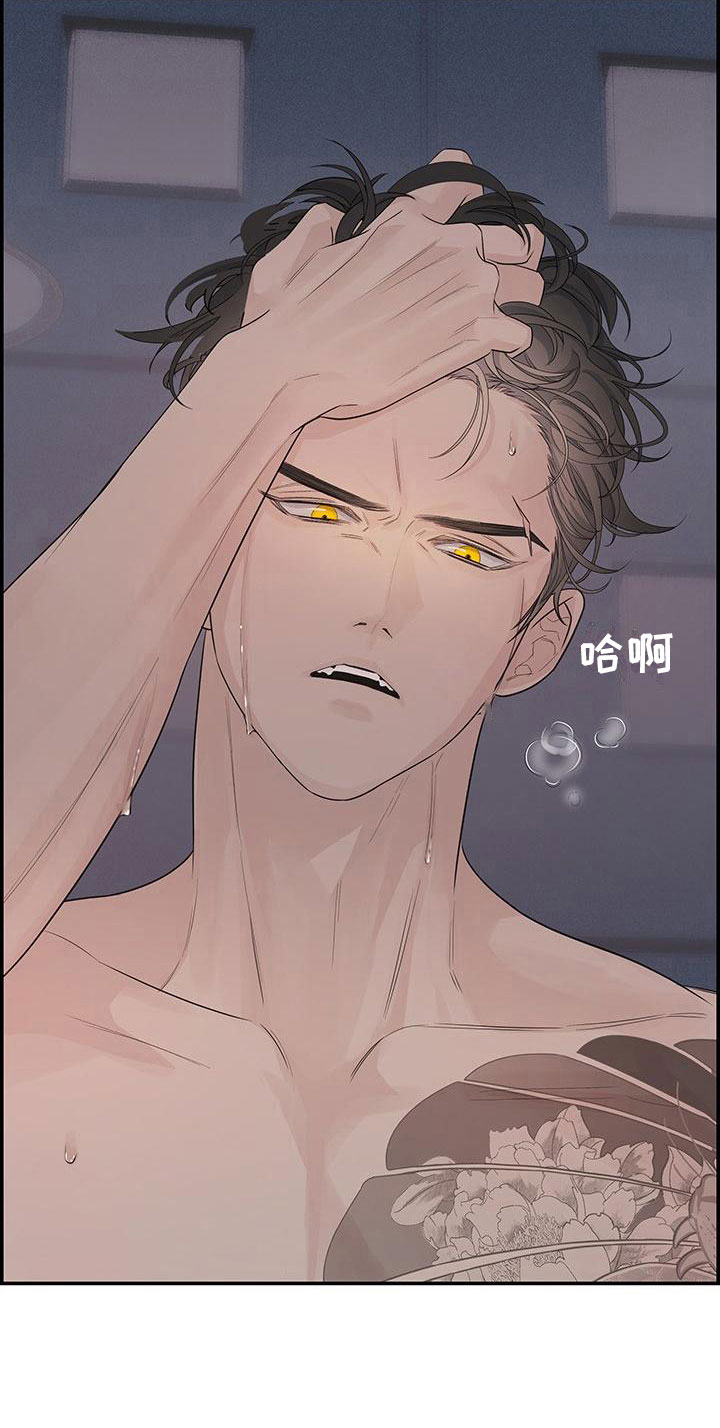 第1章：去除头痛30