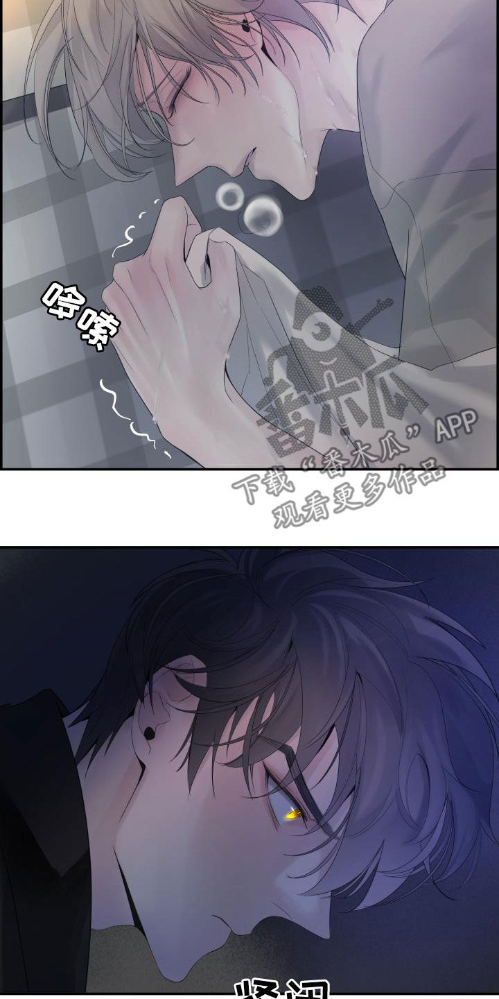 第29章：烦人20