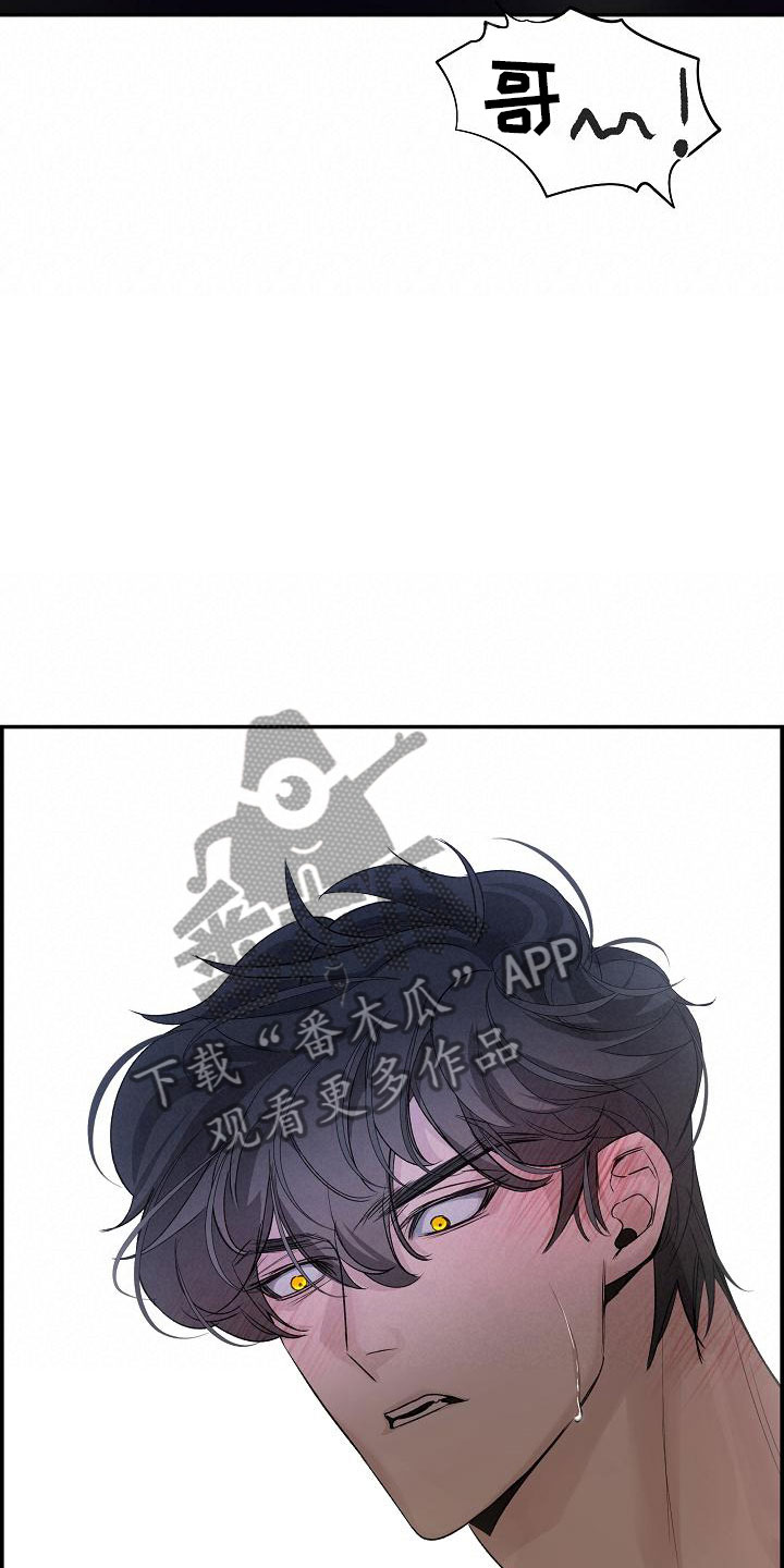 第14章：梦境17