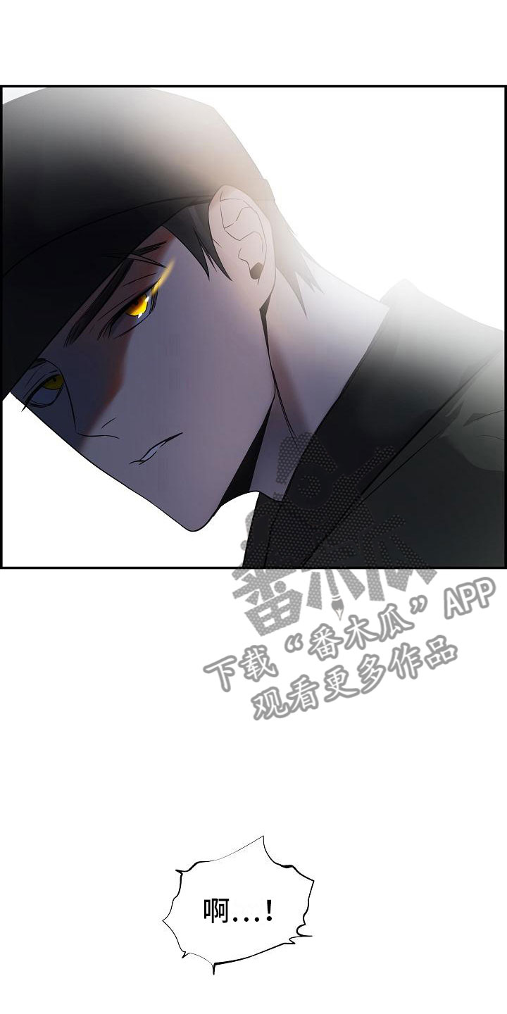第12章：那个人17