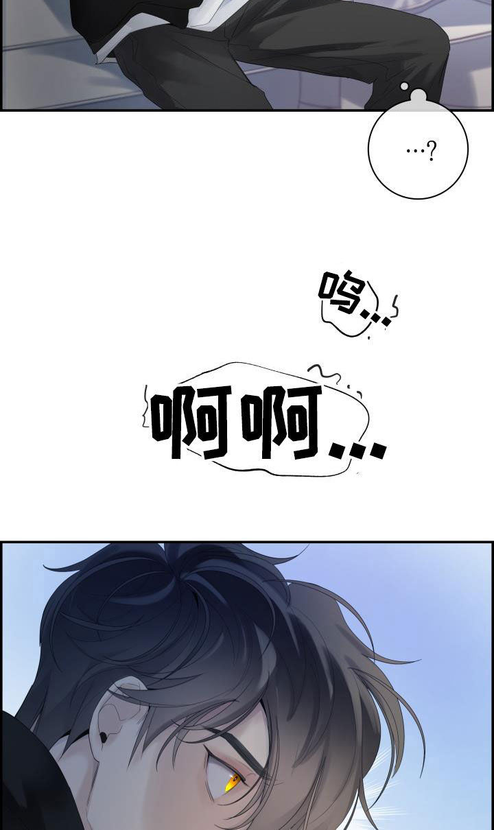 第29章：烦人16