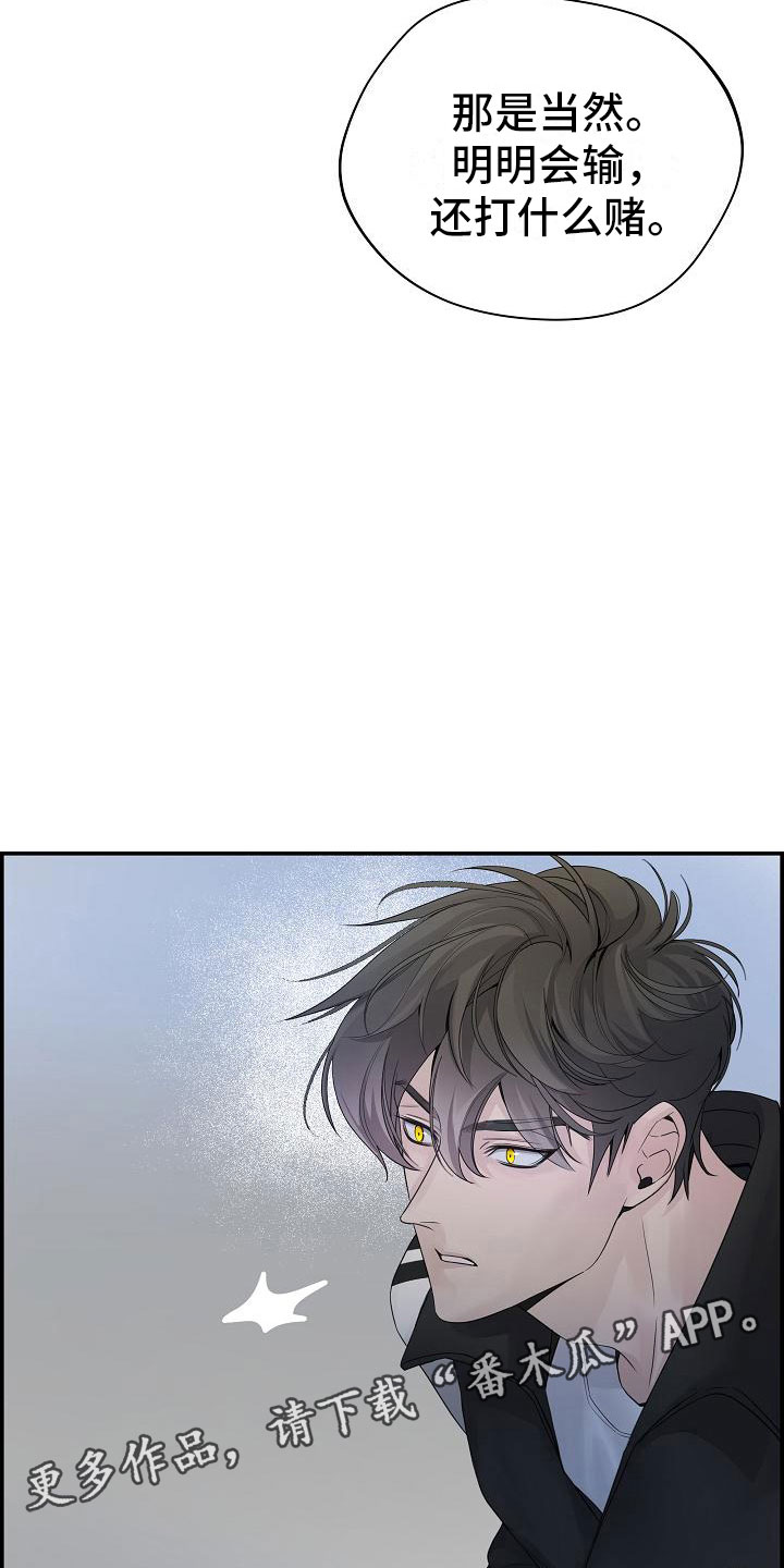 第15章：打赌34