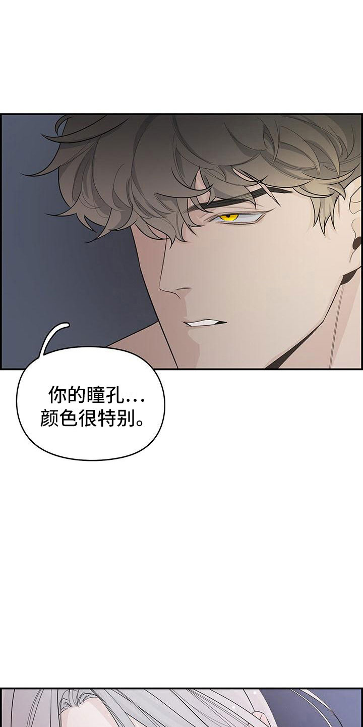 第1章：去除头痛18