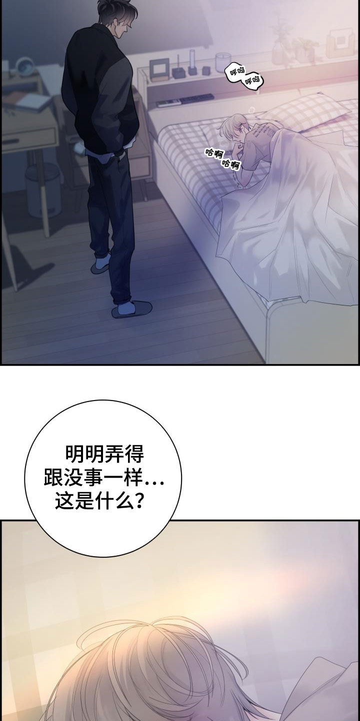 第29章：烦人19