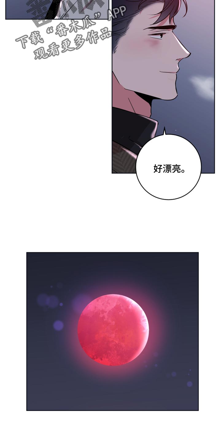 第177章：太漂亮了【完结】26
