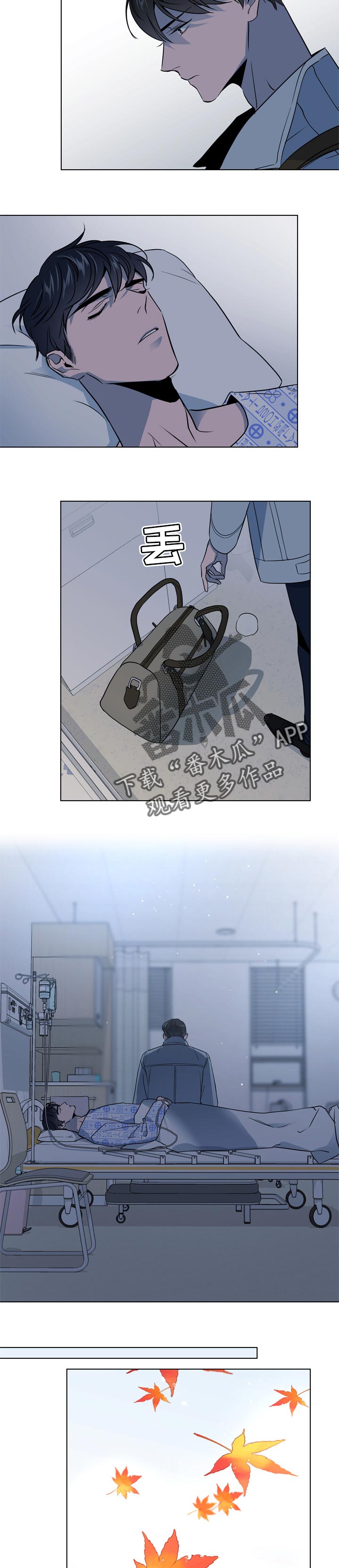 第101章：暴风雨前夕的宁静2