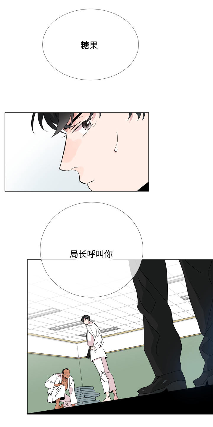 第1章：特工17